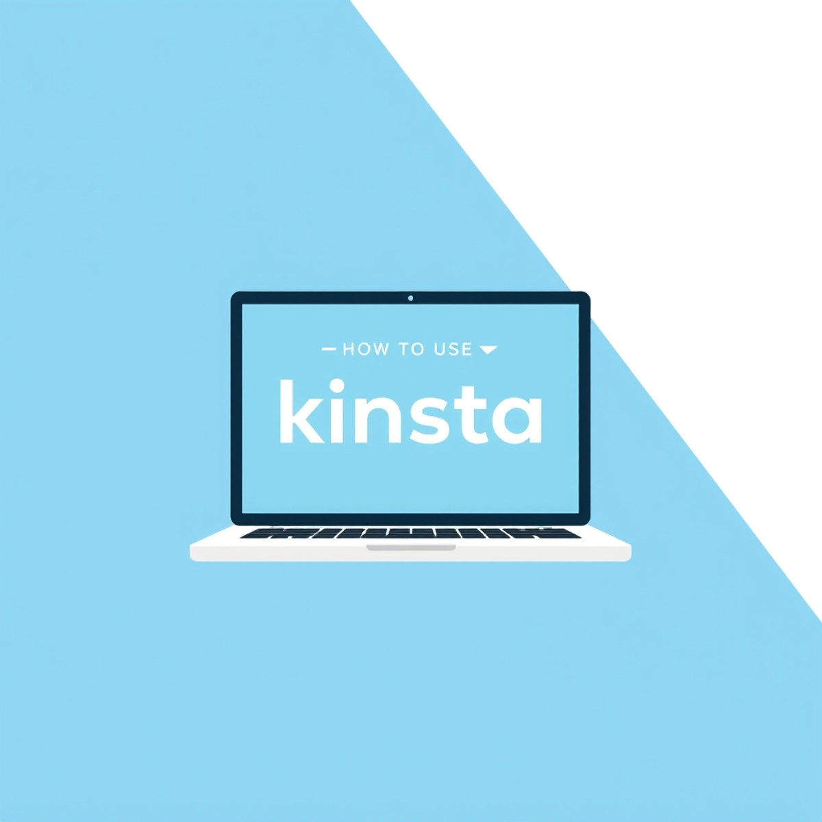 How to Use Kinsta for a Small Business
